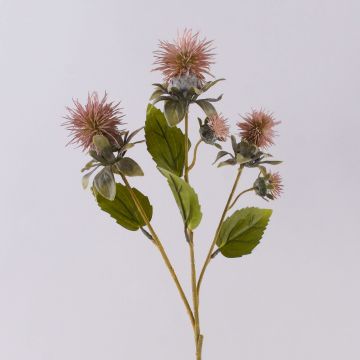 Plastik Färberdistel Blumen Zweig VALDISOLI, Trockenoptik, altrosa, 55cm