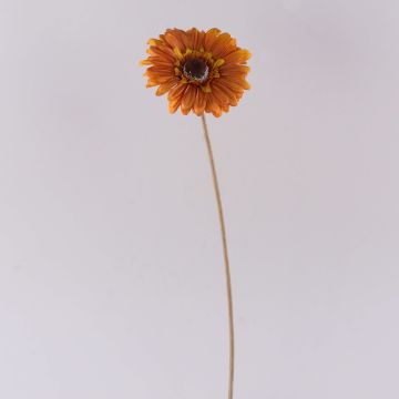 Gerbera künstlich TUNGUSKA, Trockenoptik, orange, 55cm, Ø11cm Gerbera künstlich TUNGUSKA, Trockenoptik, orange, 55cm, Ø11cm