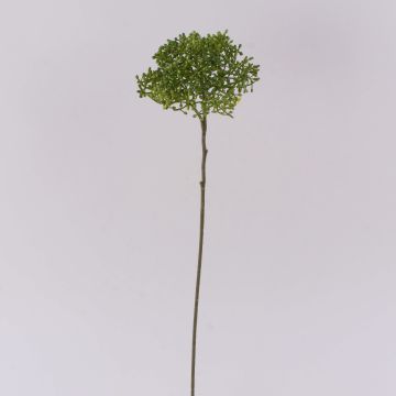 Unechter Schneeball VARINKA mit Knospen, Trockenoptik, grün, 55cm Unechter Schneeball VARINKA mit Knospen, Trockenoptik, grün, 55cm