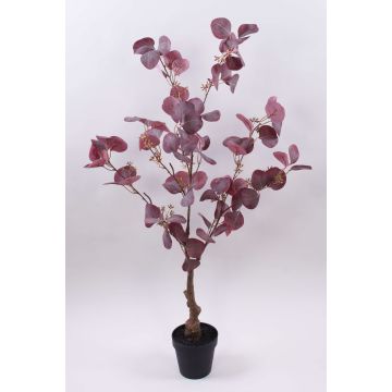 Künstlicher Eukalyptus WISCHERA, Früchte, Kunststamm, Dekotopf, burgunderrot-grau, 90cm Künstlicher Eukalyptus WISCHERA, Früchte, Kunststamm, Dekotopf, burgunderrot-grau, 90cm