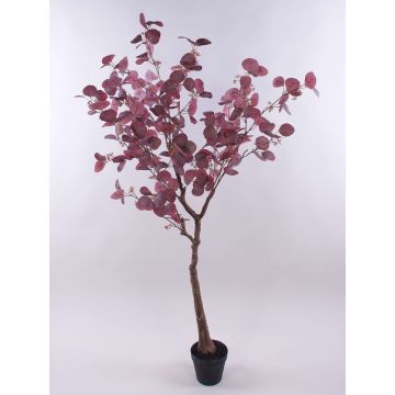 Künstlicher Eukalyptus WISCHERA, Früchte, Kunststamm, Dekotopf, burgunderrot-grau, 150cm Künstlicher Eukalyptus WISCHERA, Früchte, Kunststamm, Dekotopf, burgunderrot-grau, 150cm