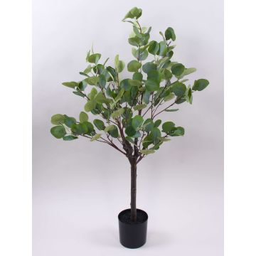 Eukalyptus Baum künstlich WISGARD, Kunststamm, grün-grau, 90cm Eukalyptus Baum künstlich WISGARD, Kunststamm, grün-grau, 90cm