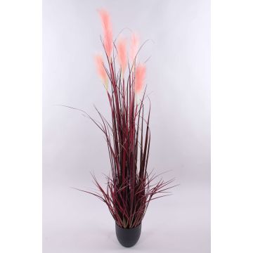 Pampasgras künstlich WERNHILD mit Rispen, Dekotopf, rot-braun, 150cm