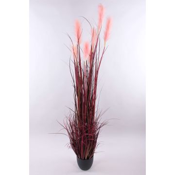 Pampasgras künstlich WERNHILD mit Rispen, Dekotopf, rot-braun, 180cm