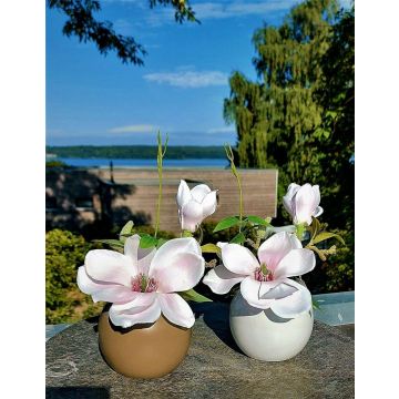 Künstliche Magnolie FEMI im beigen Keramiktopf, zartrosa, 20cm, Ø17cm