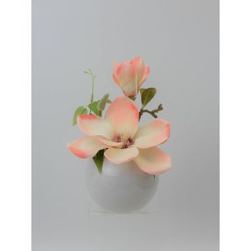 Künstliche Magnolie FEMI im weißen Keramiktopf, creme-aprikose, 20cm, Ø17cm