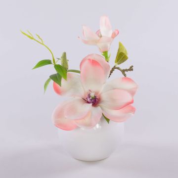 Künstliche Magnolie FEMI im weißen Keramiktopf, creme-aprikose, 20cm, Ø17cm