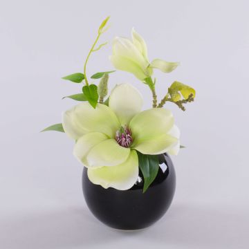 Künstliche Magnolie FEMI im schwarzen Keramiktopf, creme-grün, 20cm, Ø17cm Künstliche Magnolie FEMI im schwarzen Keramiktopf, creme-grün, 20cm, Ø17cm