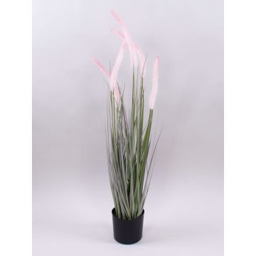 Deko Lampenputzergras PARIDKO mit Rispen, rosa-grün, 90cm