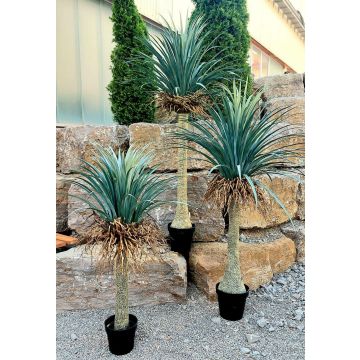 Künstliche Yucca rostrata HARDIN, Dekotopf, 120cm