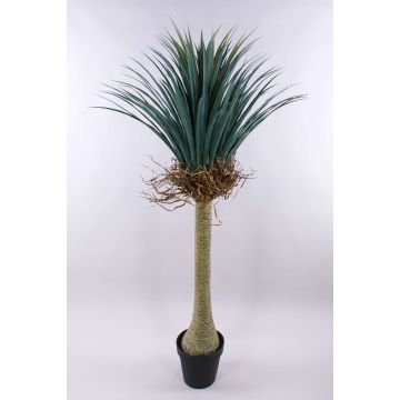Künstliche Yucca rostrata HARDIN, Dekotopf, 160cm