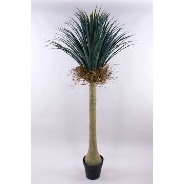 Künstliche Yucca rostrata HARDIN, Dekotopf, 180cm