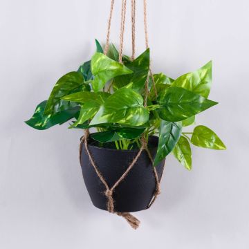 Künstliche Efeutute Blumenampel CASON im Dekotopf, grün, 60cm Künstliche Efeutute Blumenampel CASON im Dekotopf, grün, 60cm