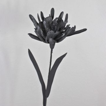 Kunststoffschaum Deko-Blüte Kaktus Königin der Nacht MOADI mit Glitzer, schwarz, 90cm, Ø35cm