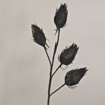 Deko Edeldistel Kunststoffschaum MISAEL mit Glitzer, schwarz, 100cm, Ø7cm Deko Edeldistel Kunststoffschaum MISAEL mit Glitzer, schwarz, 100cm, Ø7cm