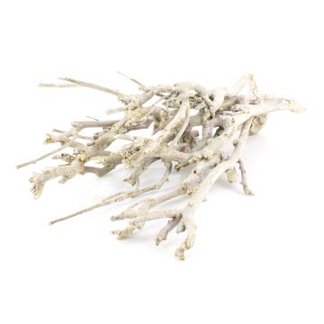 Deko Zweige Bund MANDY, weiß-gekalkt, 30cm