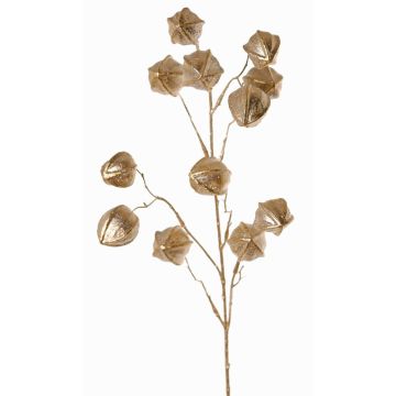 Deko Physalis Zweig DUGONG mit Früchten, gold, 90cm
