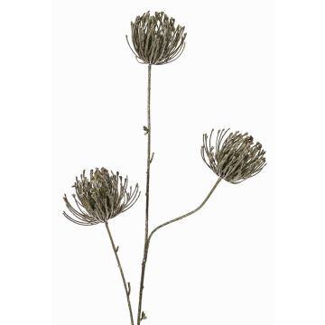 Künstlicher Zweig Nadelkissen Protea KAPO mit Glitzer, olivgrün, 85cm, Ø8cm Künstlicher Zweig Nadelkissen Protea KAPO mit Glitzer, olivgrün, 85cm, Ø8cm