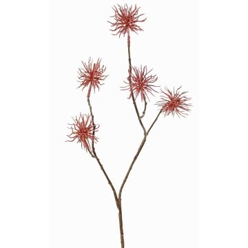 Künstlicher Zweig Zaubernuss NUMBAT mit Blüten, altrosa, 70cm, Ø6cm Künstlicher Zweig Zaubernuss NUMBAT mit Blüten, altrosa, 70cm, Ø6cm