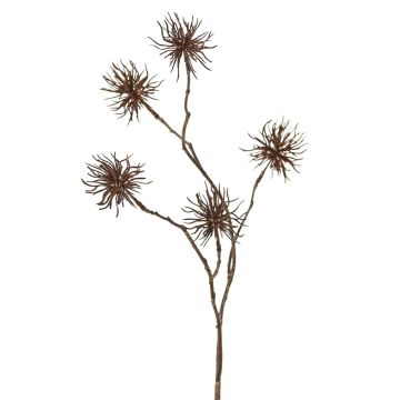 Künstlicher Zweig Zaubernuss NUMBAT mit Blüten, braun, 70cm, Ø6cm