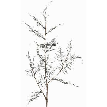 Künstlicher Asparagus acutifolius Zweig NYALA, dunkelgrün, 85cm