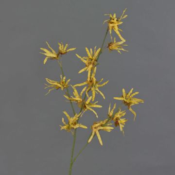 Künstlicher Zaubernuss Zweig ORAFA mit Blüten, ockergelb, 80cm, Ø4-8cm