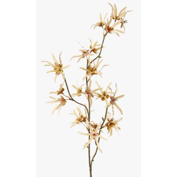 Künstlicher Zaubernuss Zweig ORAFA mit Blüten, beige, 80cm, Ø4-8cm Künstlicher Zaubernuss Zweig ORAFA mit Blüten, beige, 80cm, Ø4-8cm