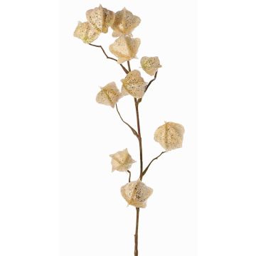 Künstlicher Physalis Zweig AINOS, Früchte, Glitzer, creme, 80cm