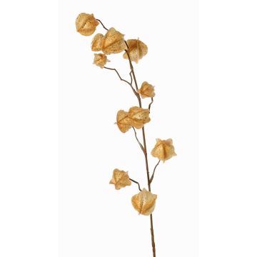 Künstlicher Physalis Zweig AINOS, Früchte, Glitzer, beige, 80cm
