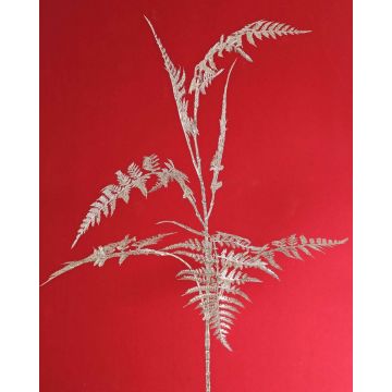Deko Asparagus plumosus Zweig GIONA, silber, 85cm Deko Asparagus plumosus Zweig GIONA, silber, 85cm