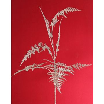 Deko Asparagus plumosus Zweig GIONA, silber, 85cm