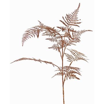 Deko Asparagus plumosus Zweig GIONA, kupfer, 85cm