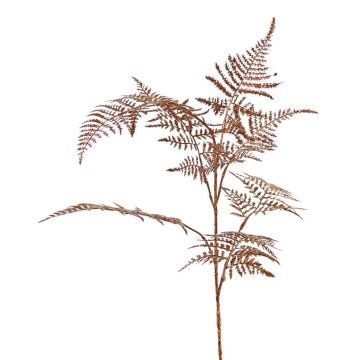 Deko Asparagus plumosus Zweig GIONA, kupfer, 85cm
