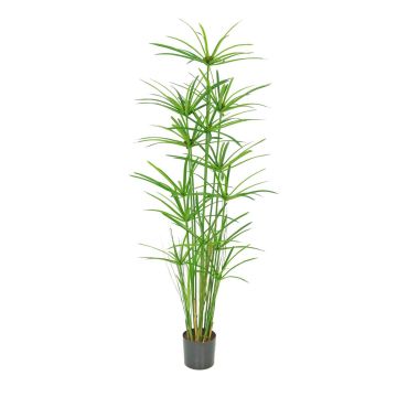 Zyperngras künstlich LEITHA, grün, 150cm