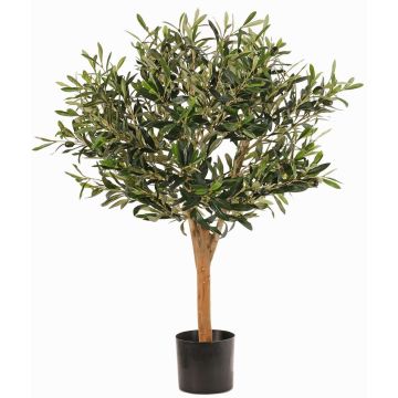 Künstlicher Olivenbaum ZISGÖ, Früchte, Echtstamm, 85cm Künstlicher Olivenbaum ZISGÖ, Früchte, Echtstamm, 85cm