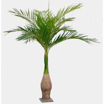 Plastik Ravenea Palme KOKIN, 265cm