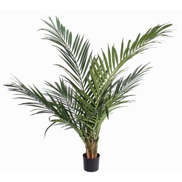 Künstliche Ravenea Palme SANDRIN, crossdoor, 145cm