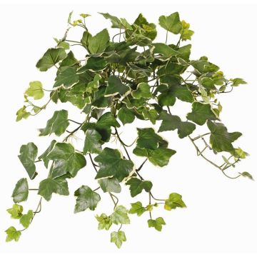Künstlicher Efeu Hänger ARJANA, Steckstab, crossdoor, grün-weiß, 50cm