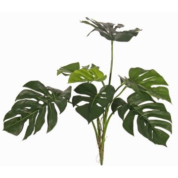 Deko Philodendron Monstera Deliciosa CHANIA, crossdoor, Steckstab, 75cm Deko Philodendron Monstera Deliciosa CHANIA, crossdoor, Steckstab, 75cm