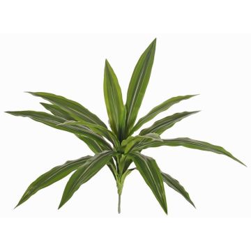 Kunstpflanze Dracaena Fragrans GLARUS auf Steckstab, grün, 40cm Kunstpflanze Dracaena Fragrans GLARUS auf Steckstab, grün, 40cm