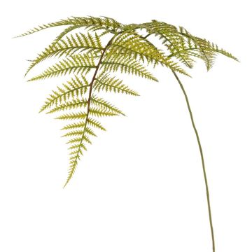 Künstliches Schwertfarn Blatt HINWIL, grün, 80cm