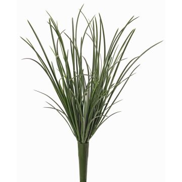 Kunstpflanze Schilfgras KRIENS, crossdoor, schwer brennbar, Steckstab, grün, 30cm Kunstpflanze Schilfgras KRIENS, crossdoor, schwer brennbar, Steckstab, grün, 30cm