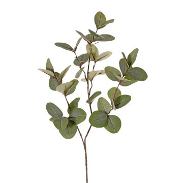Kunstzweig Eukalyptus EMMENDA, grün, 80cm Kunstzweig Eukalyptus EMMENDA, grün, 80cm