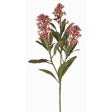 Kunstpflanzen Zweig Skimmie LAUSANA mit Blüten, mauve, 65cm, Ø7cm