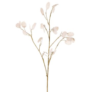 Kunstpflanze Zweig Lunaria KONIA, creme, 95cm Kunstpflanze Zweig Lunaria KONIA, creme, 95cm