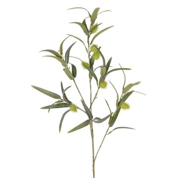 Unechter Ballon-Wolfsmilch Zweig TASMIN, Früchte, grün, 95cm Unechter Ballon-Wolfsmilch Zweig TASMIN, Früchte, grün, 95cm