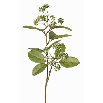 Künstlicher Hartriegel Zweig PANGO mit Knospen, grün-weiß, 70cm, Ø7cm
