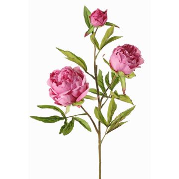 Pfingstrosen Zweig künstlich MANJA, violett, 70cm, Ø8-10cm Pfingstrosen Zweig künstlich MANJA, violett, 70cm, Ø8-10cm
