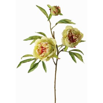 Pfingstrosen Zweig künstlich MANJA, grün-pink, 70cm, Ø8-10cm Pfingstrosen Zweig künstlich MANJA, grün-pink, 70cm, Ø8-10cm