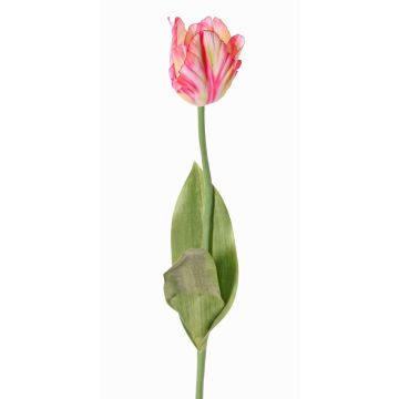 Kunstblume Papageientulpe UAKARI, rosa-creme-grün, 65cm, Ø6cm Kunstblume Papageientulpe UAKARI, rosa-creme-grün, 65cm, Ø6cm